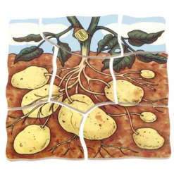 beleduc Schichten-Puzzle 
