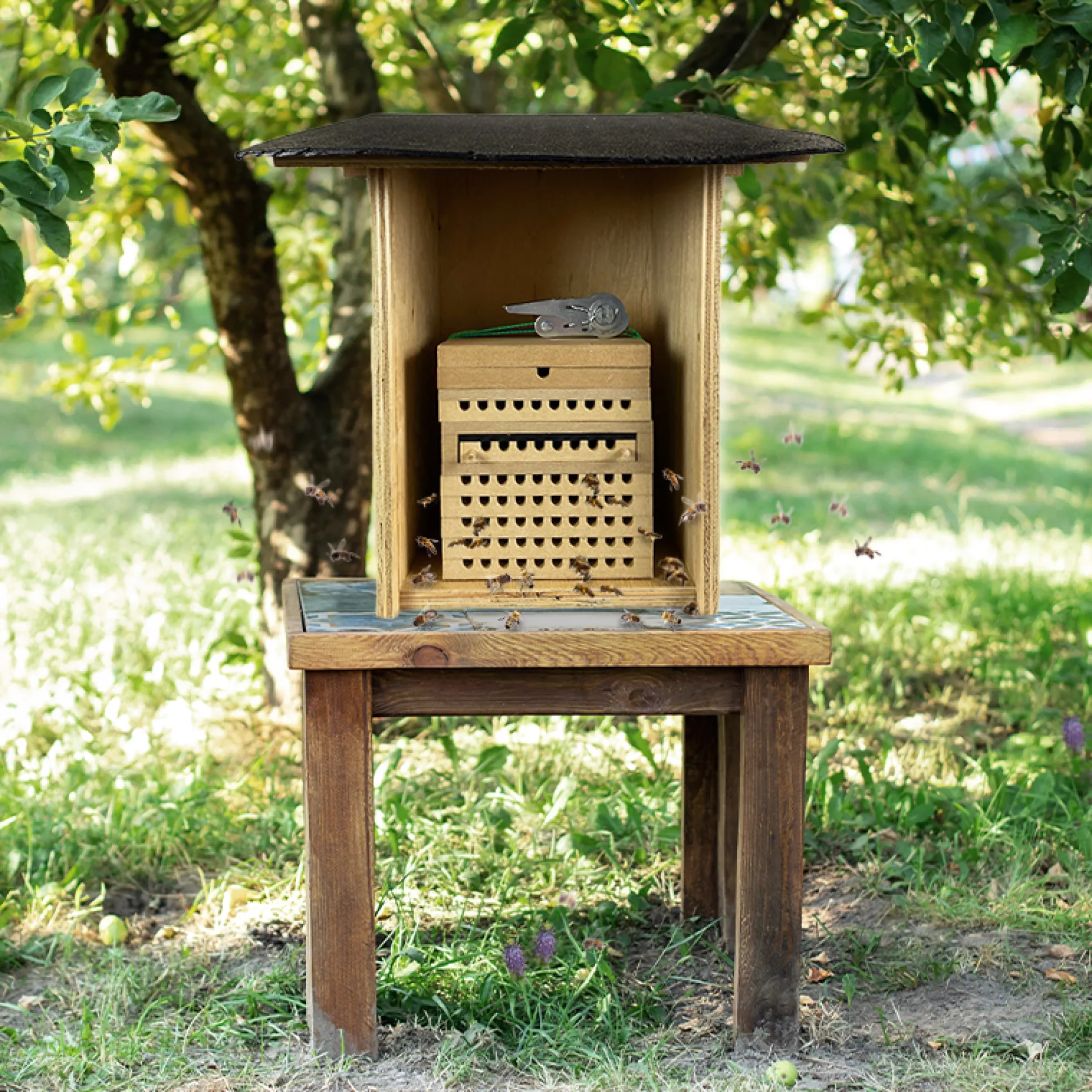 Bienen- und Hummellockstoff