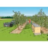 Bildergeschichten-Karten "Von fleißigen Bienen und leckerem Honig", 12-tlg.