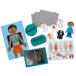 Der Menschliche Körper, Steck-Set, 17 tlg.