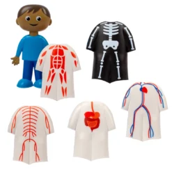 Der Menschliche Körper, Steck-Set, 17 tlg.