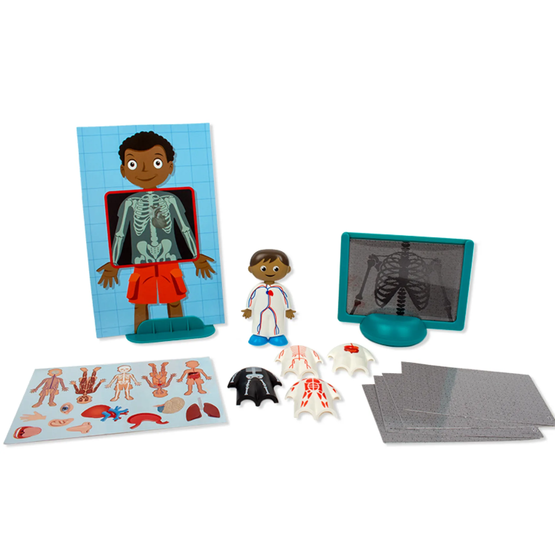 Der Menschliche Körper, Steck-Set, 17 tlg.