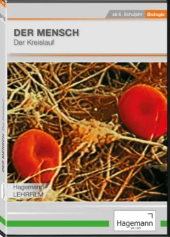 DVD-Lehrfilm Der Mensch: Der Kreislauf