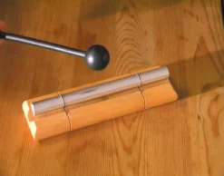 DVD-Lehrfilm Der Mensch: Sinnesorgan Ohr