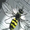 DVD-Lehrfilm Die faszinierende Welt der Insekten
