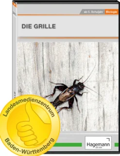 DVD-Lehrfilm Die Grille