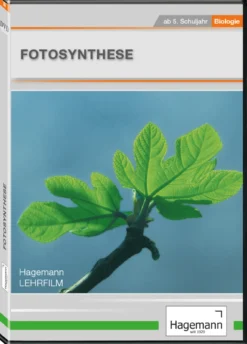 DVD-Lehrfilm Fotosynthese