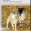 DVD-Lehrfilm Klonen - Wie Dolly unsere Welt veränderte