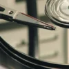 DVD-Lehrfilm Magnetismus