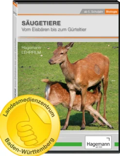 DVD-Lehrfilm Säugetiere