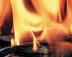DVD-Lehrfilm Zellatmung