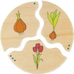 Entwicklung, 10 Puzzles