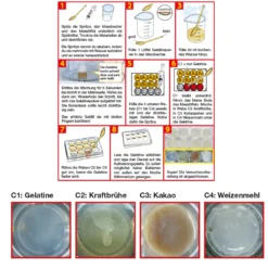 Experimentierbox Bakterien und Viren