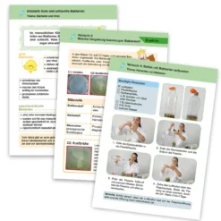 Experimentierbox Bakterien und Viren
