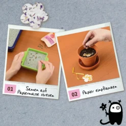 Experimentierset: Blühendes selbstgeschöpftes Papier aus Altpapier