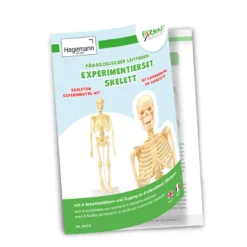 Experimentierset Skelett