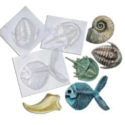 Fossilien-Gießform-Set (5 Stück)
