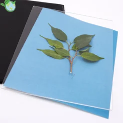 Foto-Solarpapier mit Fixierscheibe (40 Blatt 17,8 x 12,7 cm)