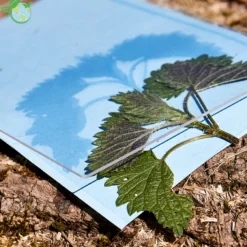 Foto-Solarpapier mit Fixierscheibe (40 Blatt 17,8 x 12,7 cm)