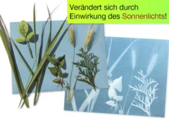Foto-Solarpapier mit Fixierscheibe (40 Blatt 17,8 x 12,7 cm)