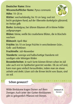 50 Garten- & Feldpflanzen entdecken und bestimmen