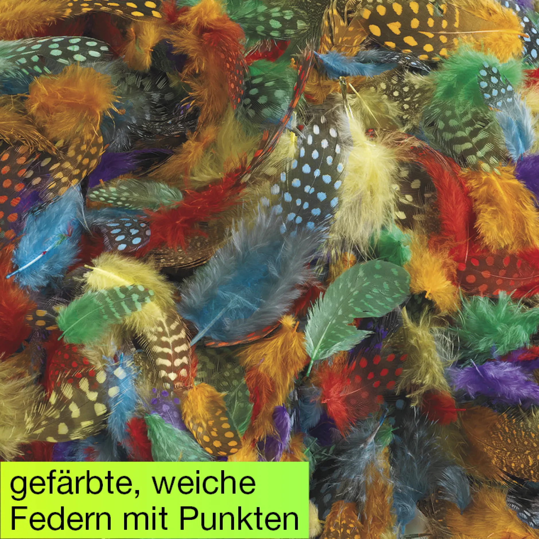 Gepunktete Federn, 30 g