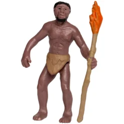 Hagemann Entwicklung des Menschen (Evolution, Modelle), 5-tlg.
