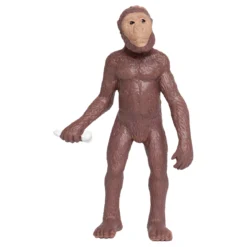 Hagemann Entwicklung des Menschen (Evolution, Modelle), 5-tlg.