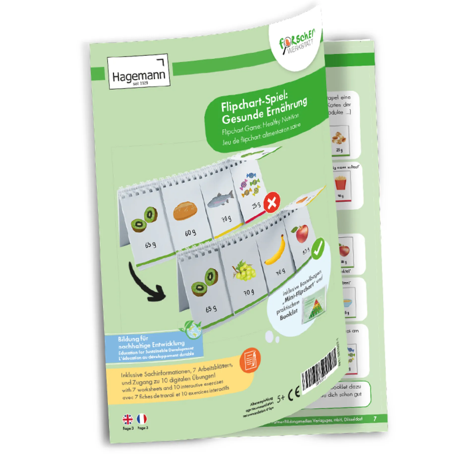 Hagemann Flipchart-Spiel Gesunde Ernährung
