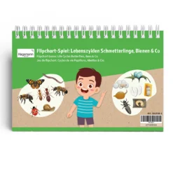 Hagemann Flipchart-Spiel Lebenszyklus Schmetterlinge, Bienen & Co