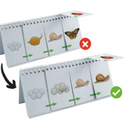 Hagemann Flipchart-Spiel Lebenszyklus Schmetterlinge, Bienen & Co