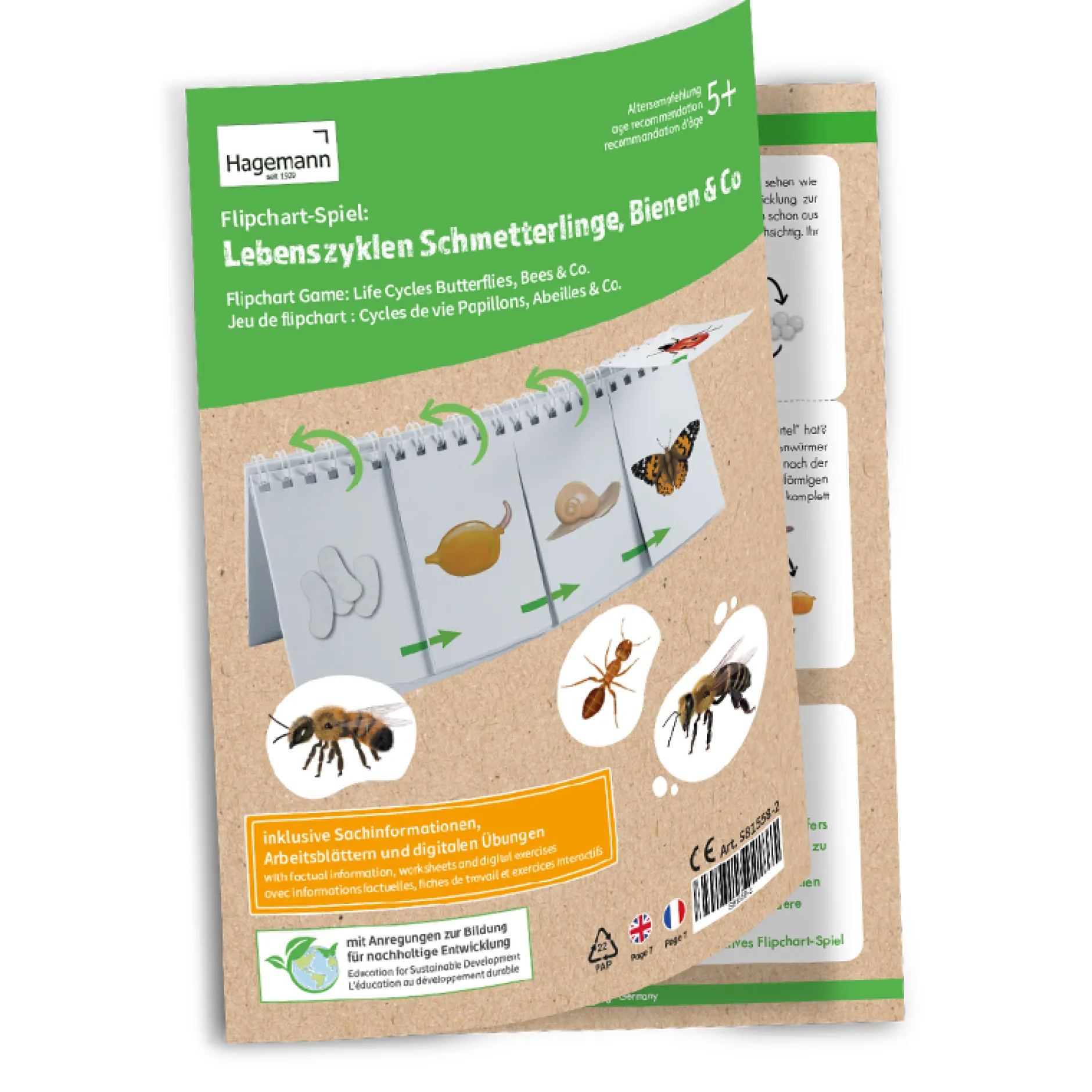 Hagemann Flipchart-Spiel Lebenszyklus Schmetterlinge, Bienen & Co