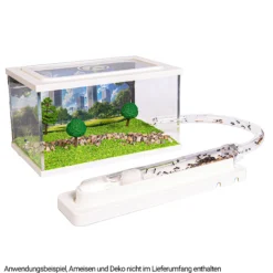 Hagemann Formicarium für Ameisenstaat