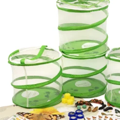 Hagemann Forscherkoffer Schmetterlings-Zucht