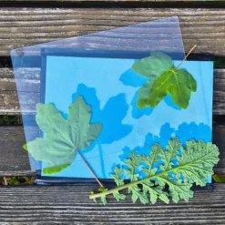 Hagemann Foto-Solarpapier mit Fixierscheibe, A5, 20 Blatt