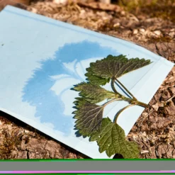 Hagemann Foto-Solarpapier mit Fixierscheibe, A5, 20 Blatt