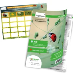 Hagemann Gruppenprojektset Marienkäfer (30-45 Larven)