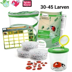 Hagemann Gruppenprojektset Marienkäfer (30-45 Larven)