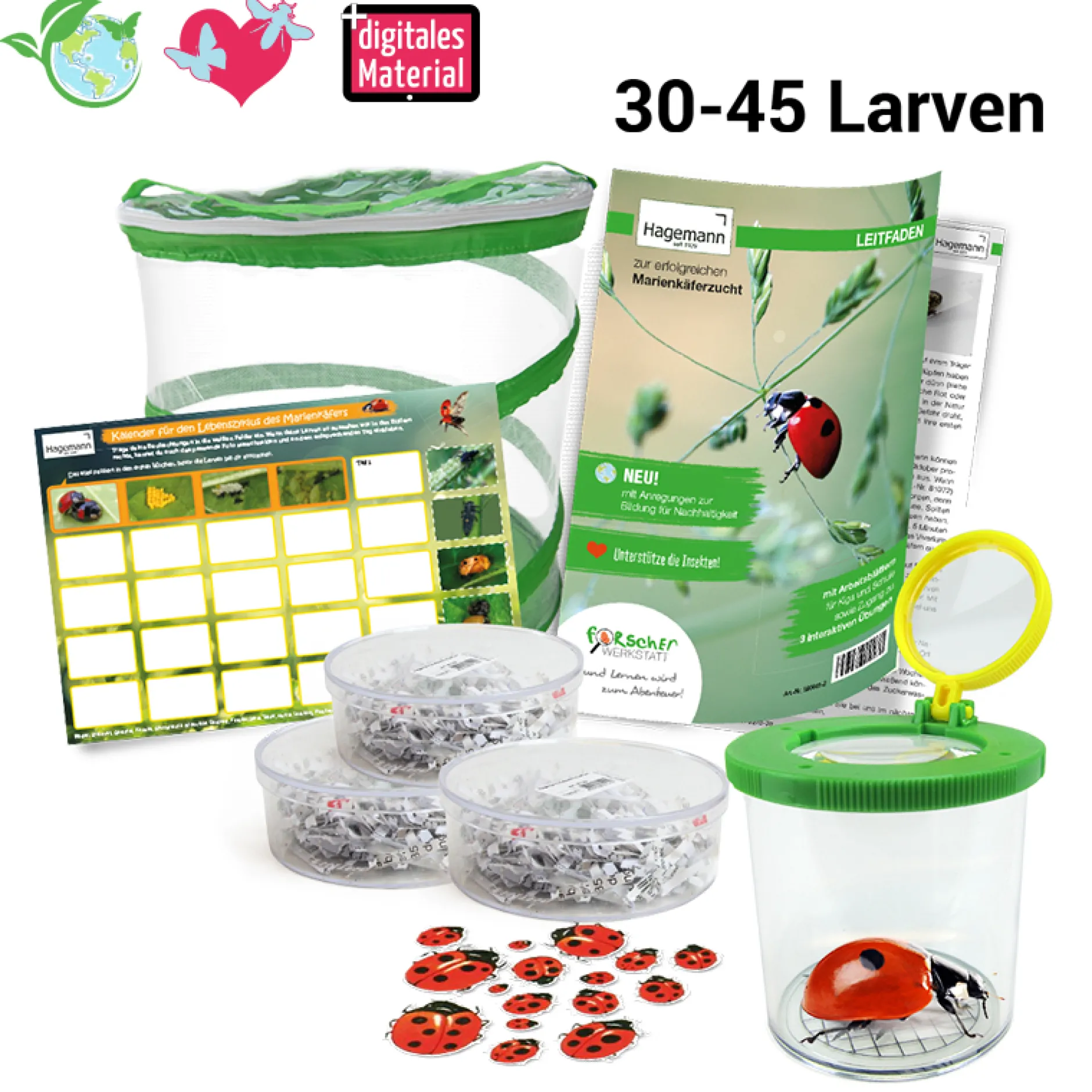 Hagemann Gruppenprojektset Marienkäfer (30-45 Larven)