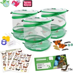 Hagemann Gruppenprojektset Schmetterlinge (mit Gutschein, 15 Raupen)