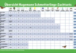 Hagemann Gruppenprojektset Schmetterlinge (15 Raupen)