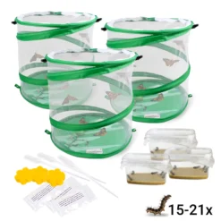 Hagemann Gruppenprojektset Schmetterlinge, Starter (15-21 Raupen)