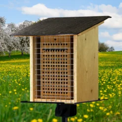 Hagemann Gruppenprojektset Wildbienen, Rote Mauerbiene