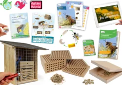Hagemann Gruppenprojektset Wildbienen, Rote Mauerbiene
