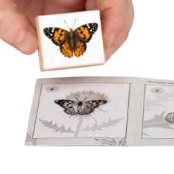 Hagemann Holzstempel Lebenszyklus Schmetterling mit Stempelkissen, 11-tlg.