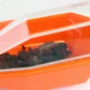 Hagemann Insektenfänger