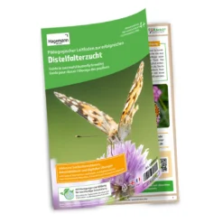 Hagemann Klassenprojektset Schmetterlinge (30-35 Raupen)