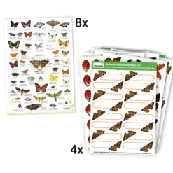 Hagemann Klassenprojektset Schmetterlinge (30-35 Raupen)