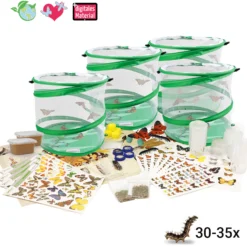 Hagemann Klassenprojektset Schmetterlinge (30-35 Raupen)