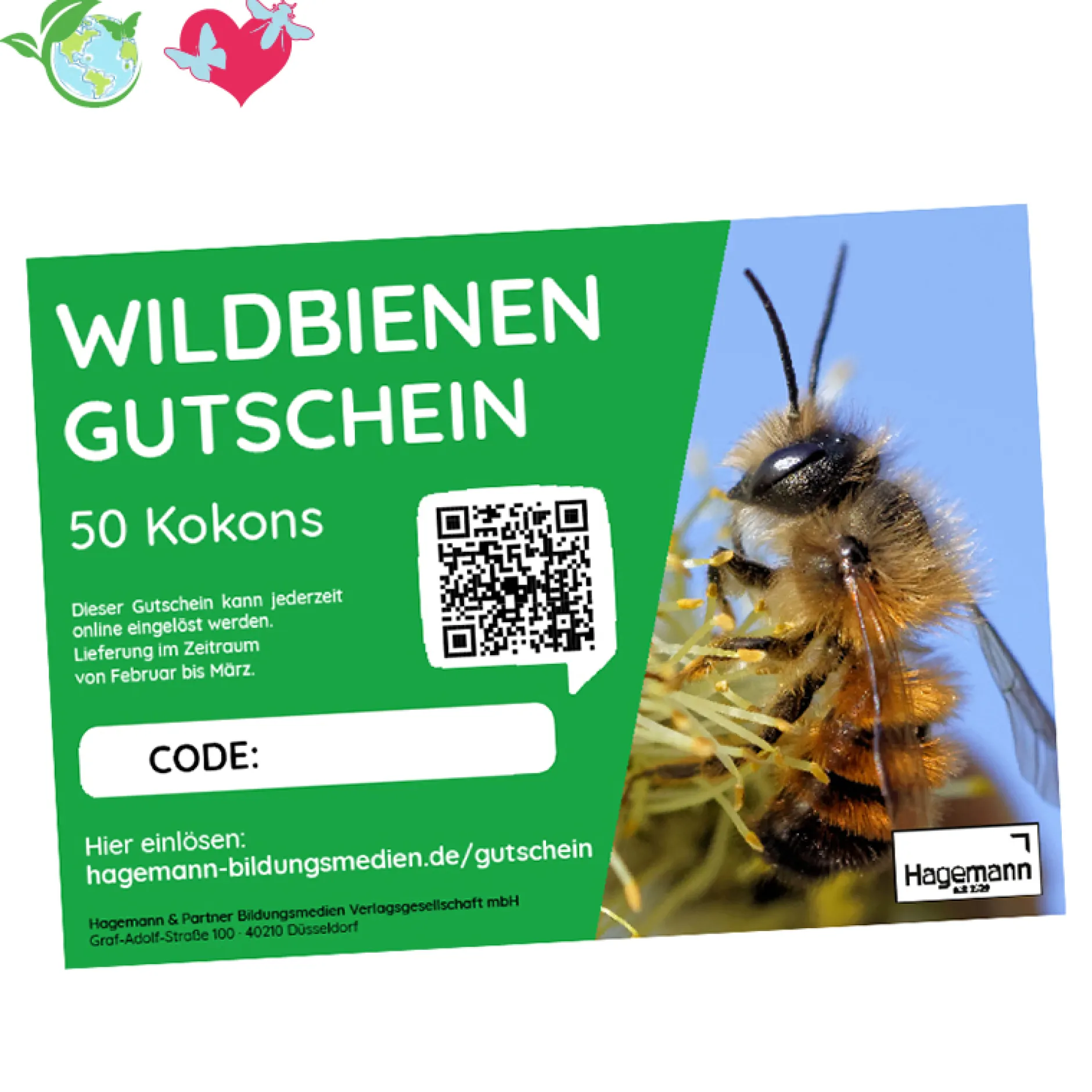 Hagemann Kokons für Wildbienenzucht, Rote Mauerbiene (mit Gutschein, 50 Kokons)